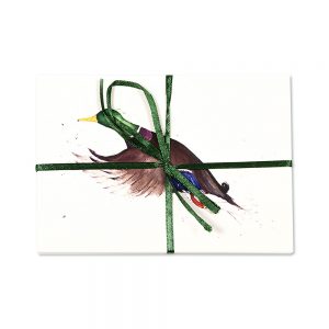 Mallard Post Cards | Pack Of 10