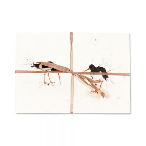 Oyster Catcher Post Cards | Pack Of 10
