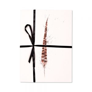 Pheasant Feather Post Cards | Pack Of 10