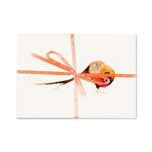 Pheasant Turning Post Cards | Pack Of 10