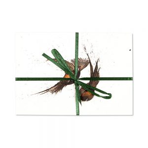 Pheasants Fighting Post Cards | Pack Of 10