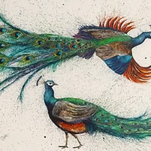 Peacocks by Clare Brownlow