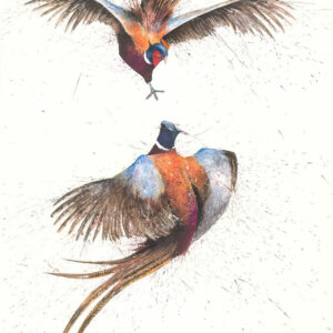 Pheasant Fight Club by Clare Brownlow