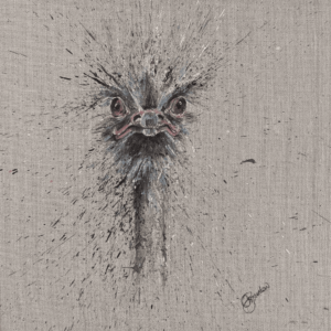 Ostrich Portrait