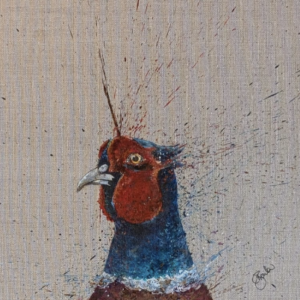 Pheasant Portrait