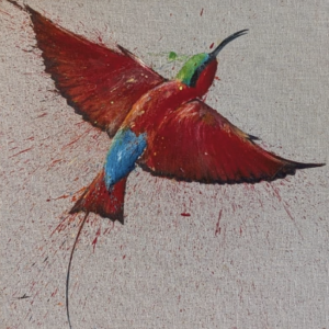 Carmine Bee Eater